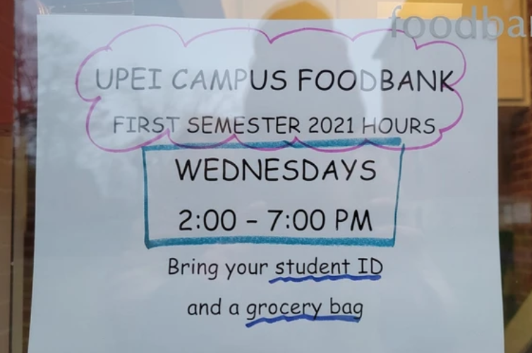 International students feeling squeeze of inflation, P.E.I. housing crisis and fees