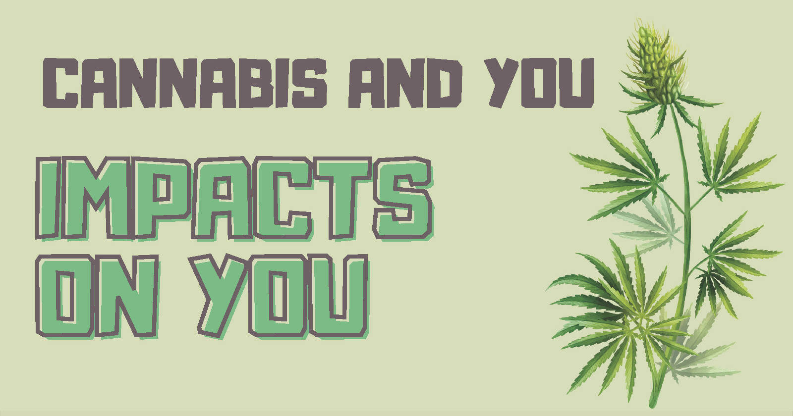 Cannabis and you: Impacts on you